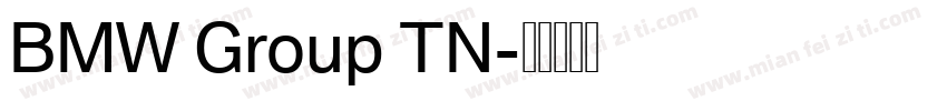 BMW Group TN字体转换